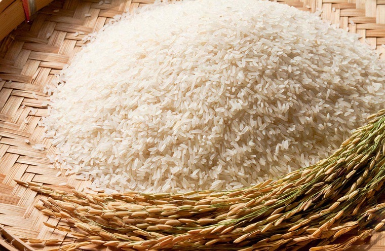 Mua gạo từ người nông dân sau khi thu hoạch