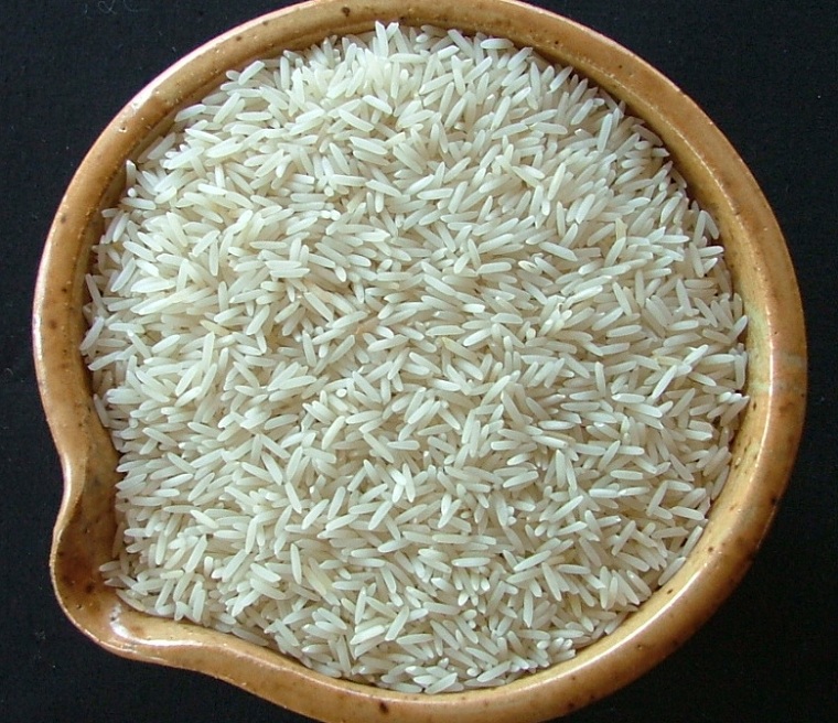 Lựa chọn gạo mới sản xuất