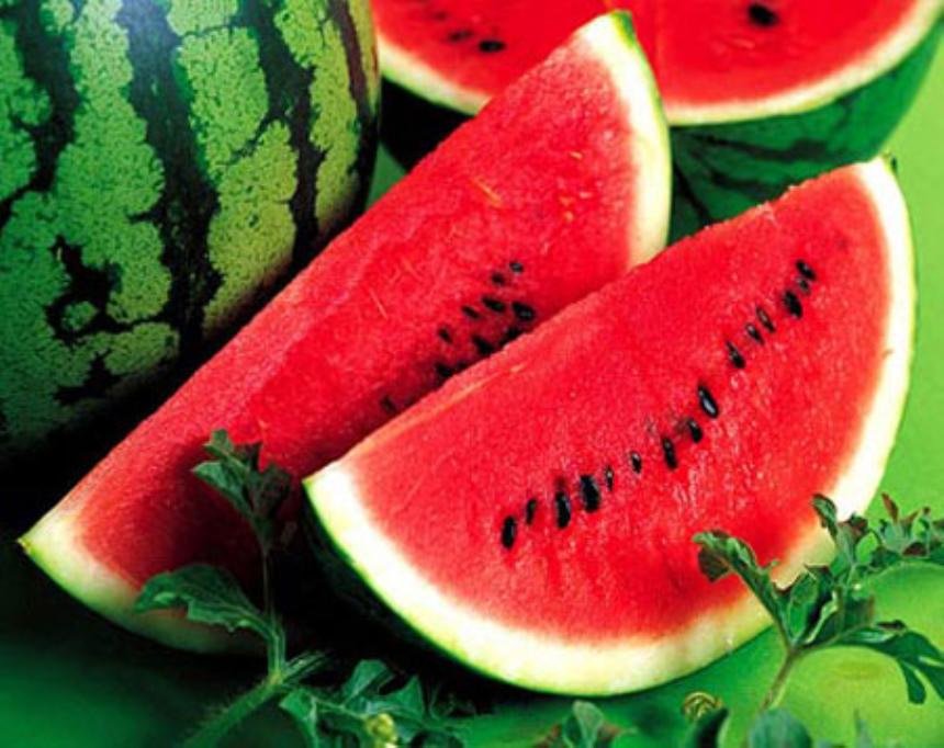 Dưa hấu là loại quả bổ dưỡng được ưa chuộng trong mùa hè