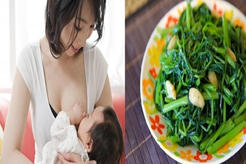 Ăn rau lang chữa nhiều bệnh tật, đặc biết tốt cho phụ nữ sau sinh có nhiều sữa cho bé bú