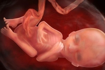 Các dấu hiệu  mẹ bầu thiếu chất dinh dưỡng cho thai nhi