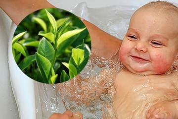 Cách tắm cho bé bằng lá chè xanh giảm nhiễm trùng da ,đẹp da an toàn nhất