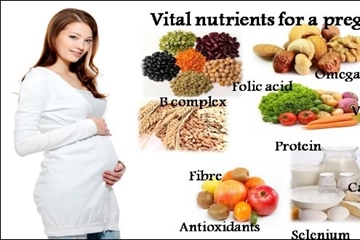 Trong 3 tháng đầu thai nén mẹ bầu nên ăn gì tốt cho thai nhi